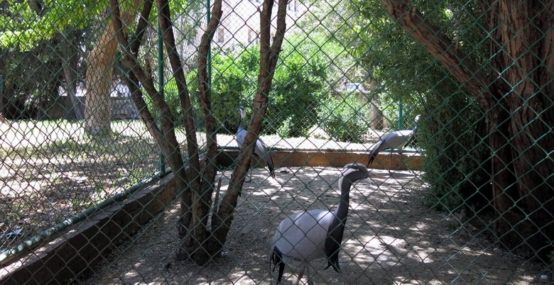 حديقة الأمير هاشم للطيور